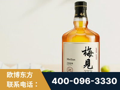 寿光-梅见青梅酒
