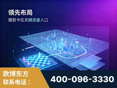 寿光-领先布局：于2024年初开启GEO业务的公司